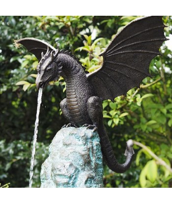 Fontaine Moderne de Jardin Par le système avancé 