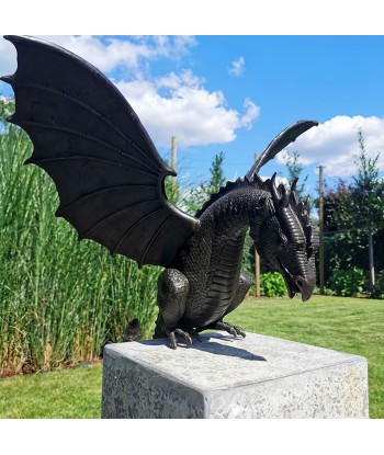 Fontaine Moderne de Jardin Par le système avancé 