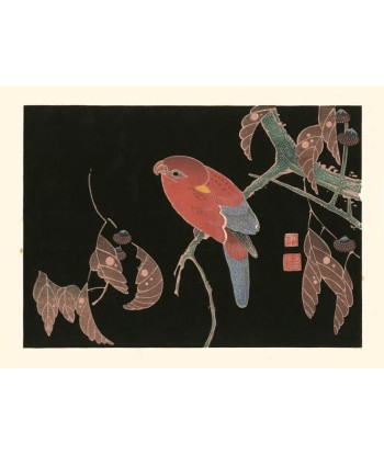 Perroquet rouge sur une branche de chêne de Jakuchu Ito | Reproduction Fine Art sur le site 