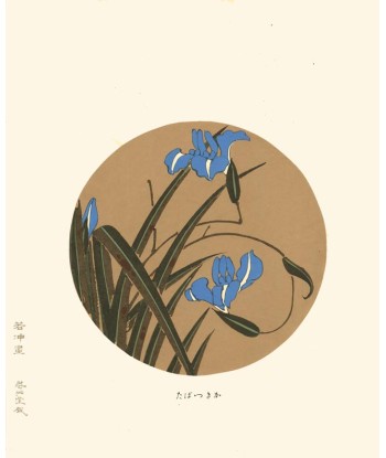 Iris bleu de Jakuchu Ito | Reproduction Fine Art s'inspire de l'anatomie humaine