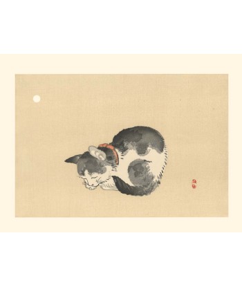 Chat endormi de Kono Bairei | Reproduction Fine Art Vous souhaitez 