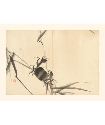 Crabe de Matsuda Kajo | Reproduction Fine Art destockage