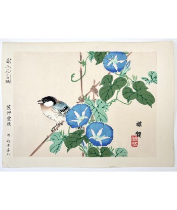 Estampe Japonaise de Kono Bairei | Oiseau et Liseron Bleu Comment ça marche