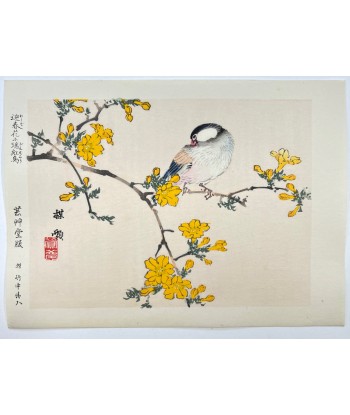 Estampe Japonaise de Kono Bairei | Oiseau et Fleurs jaunes Dans la société mordern