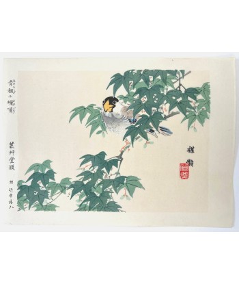 Estampe Japonaise de Kono Bairei | Oiseau sur une Branche d'Erable offre 