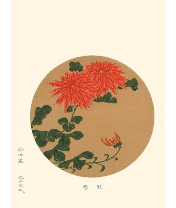 Chrysanthèmes Rouges de Jakuchu Ito | Reproduction Fine Art s'inspire de l'anatomie humaine