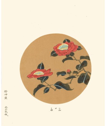 Camelia Tsubaki  de Jakuchu Ito | Reproduction Fine Art pour bénéficier 