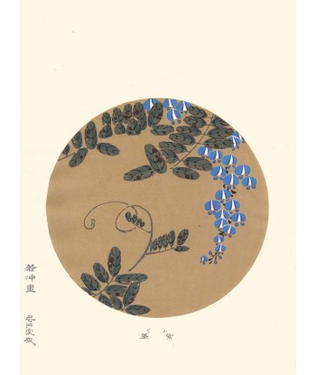 Glycines Bleues de Jakuchu Ito | Reproduction Fine Art store