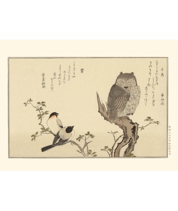 Le Bouvreuil et le Hibou de Utamaro Kitagawa | Reproduction Fine Art destockage