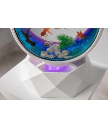 Aquarium design fontaine commande en ligne