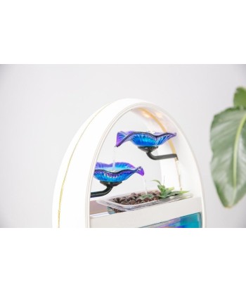 Aquarium design fontaine commande en ligne