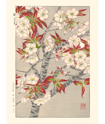 Cerisier en Fleurs de Kawarazaki Shodo | Reproduction Fine Art en stock