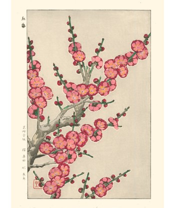 Fleurs de Prunier de Kawarazaki Shodo | Reproduction Fine Art en linge