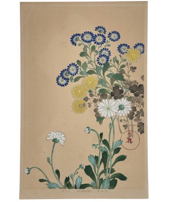 Estampe Japonaise | Chrysanthèmes et asters bleus hantent personnes