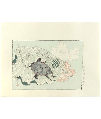 Estampe Japonaise de Kyosai | Tortue sur fleur de lotus de votre