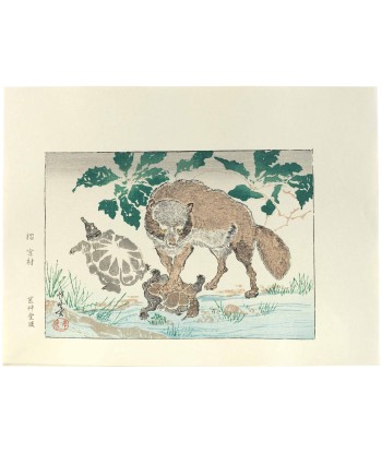 Estampe Japonaise de Kyosai | Tanuki et tortues prix